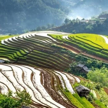 Pertanian-untuk-Pemula-–-Cara-menjadi-Petani-–-Panduan-Langkah-demi-Langkah