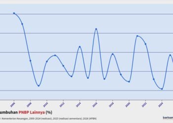 pertumbuhan pnbp lainnya